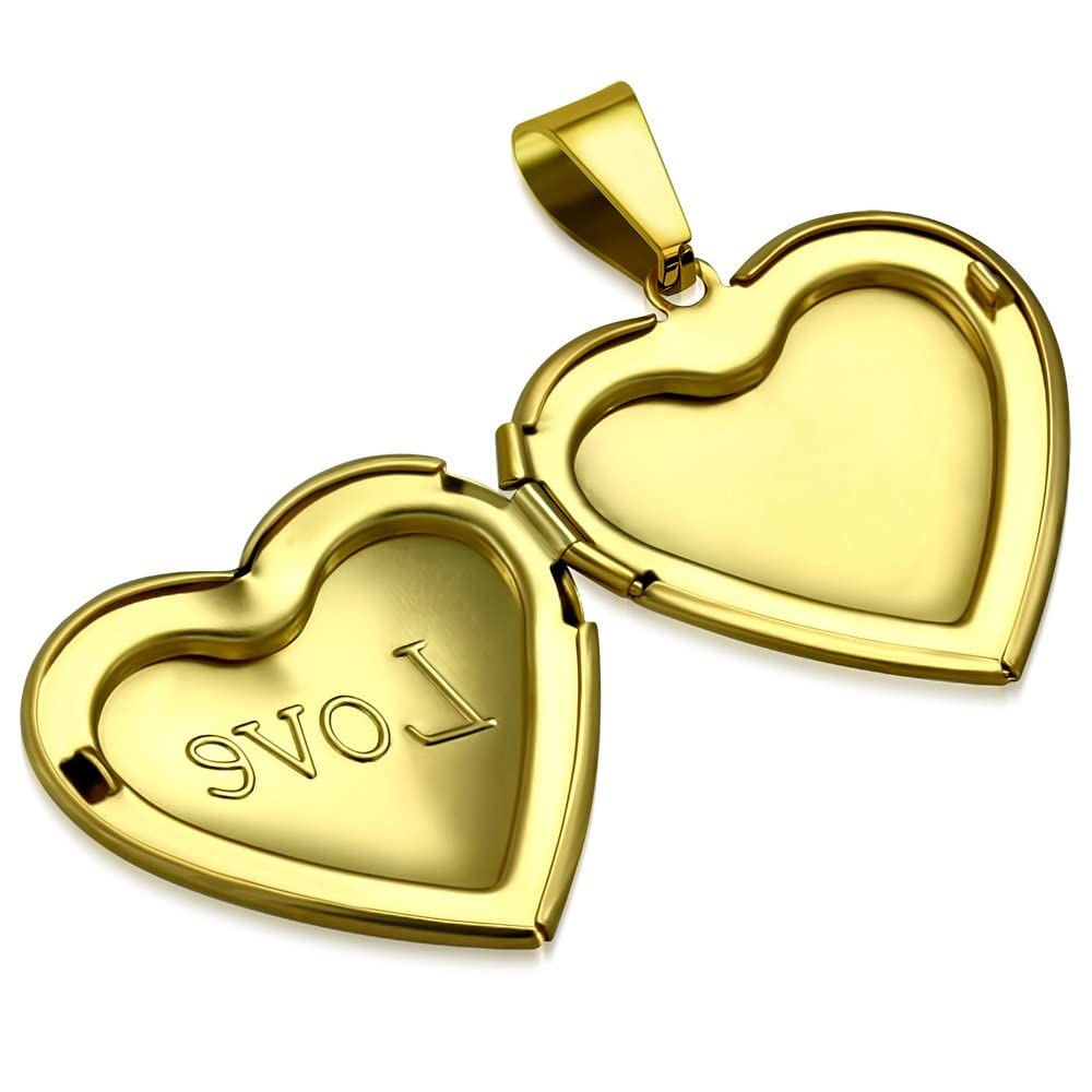 Gifts Infinity Stainless Steel Vine Love Heart Photo Fame Locket Pendant (VPP540)